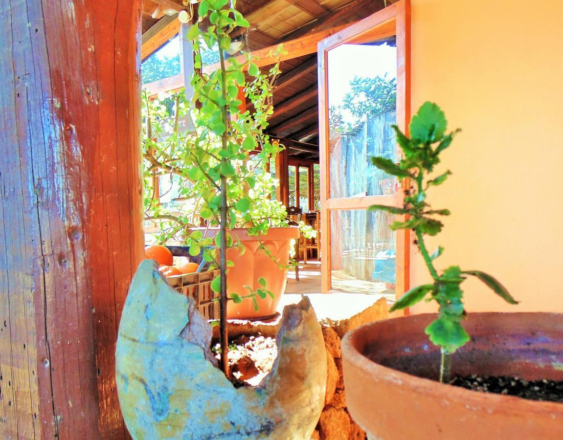 Agriturismo Calamosche Hotel Noto Buitenkant foto